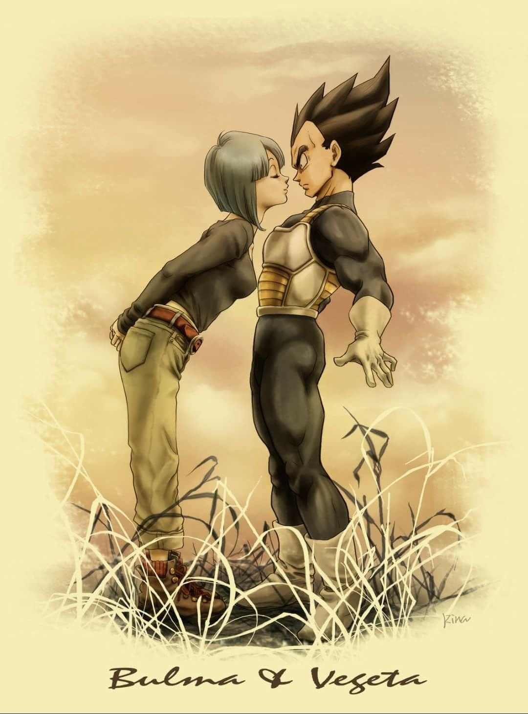 Vegeta And Bulma Wallpapers