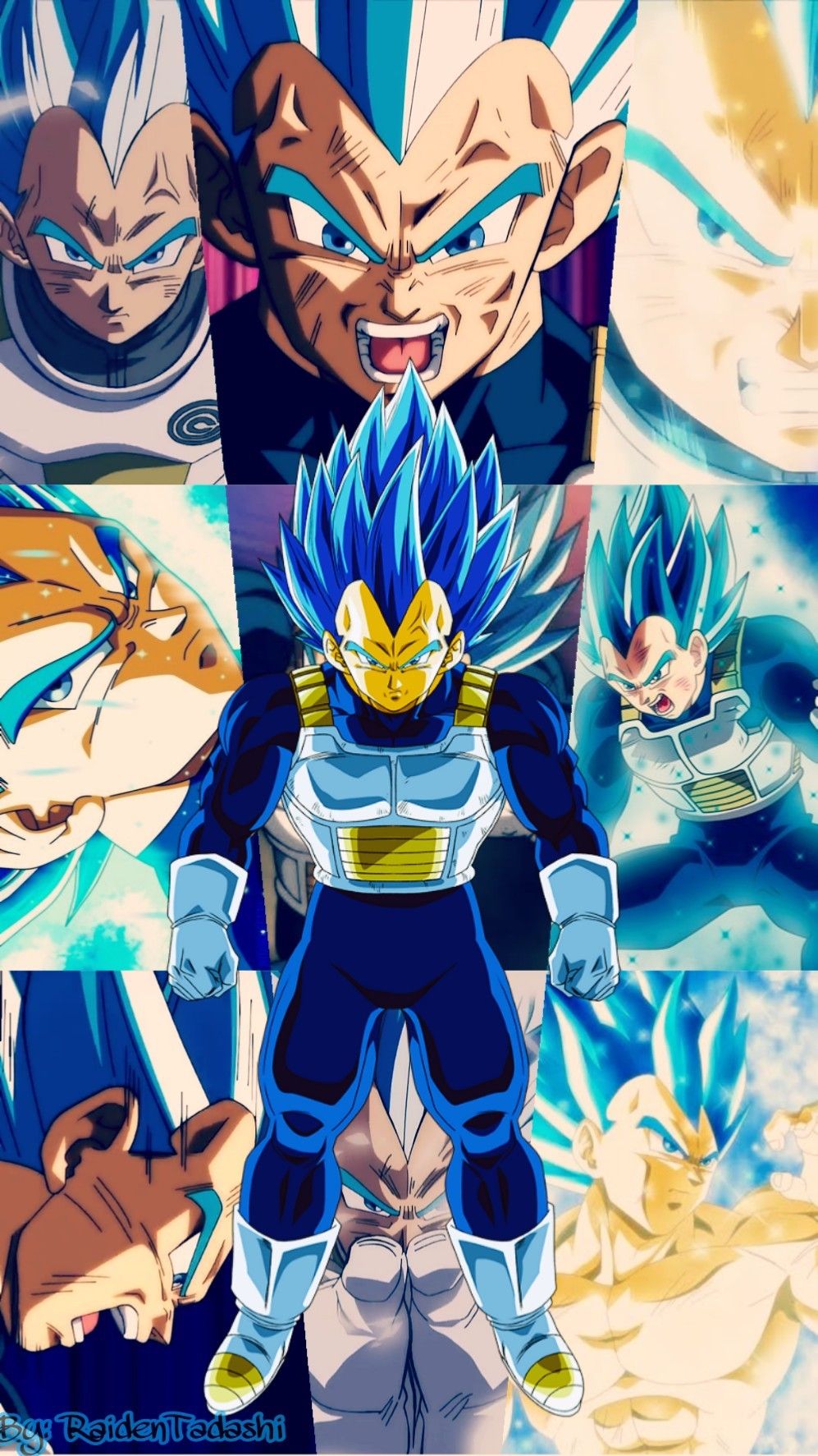 Vegeta Super Saiyan Blue Evolution Wallpapers