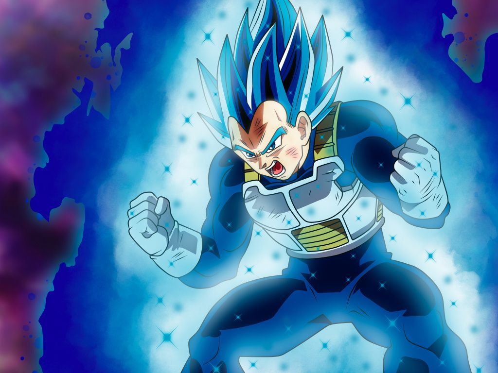 Vegeta Super Saiyan Blue Evolution Wallpapers