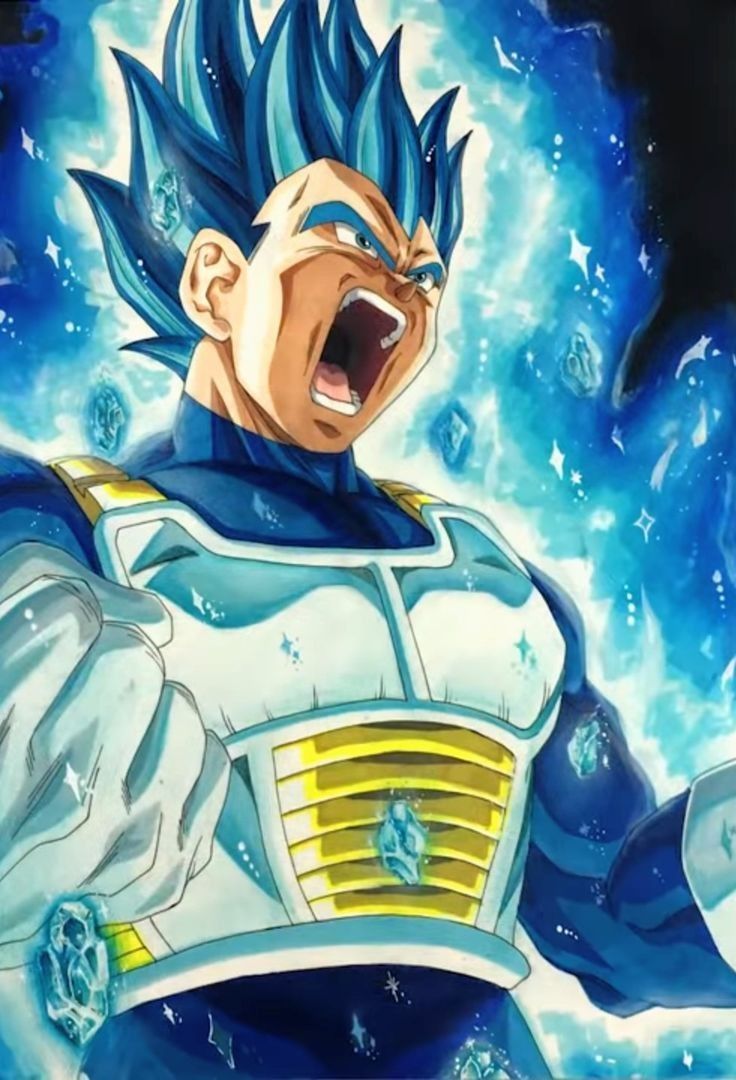 Vegeta Super Saiyan Blue Evolution Wallpapers