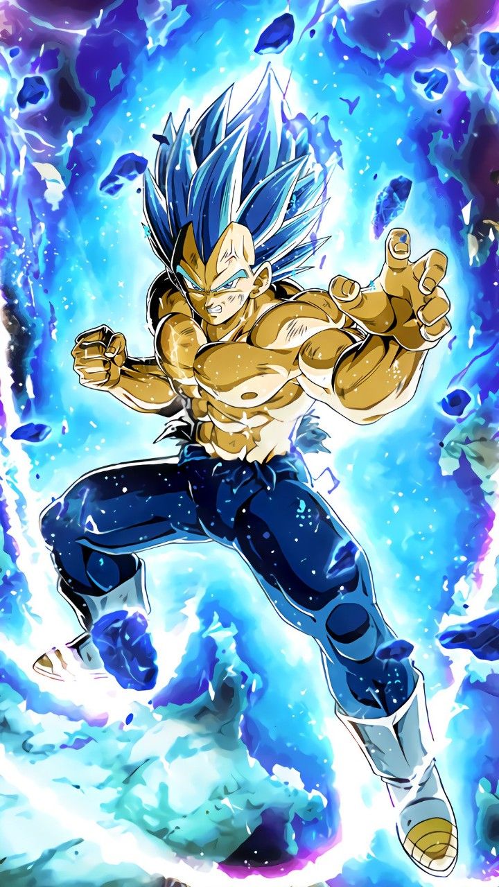 Vegeta Super Saiyan Blue Evolution Wallpapers