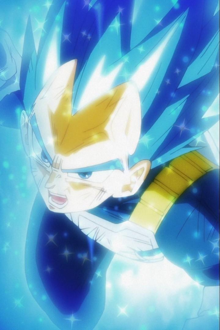 Vegeta Super Saiyan Blue Evolution Wallpapers