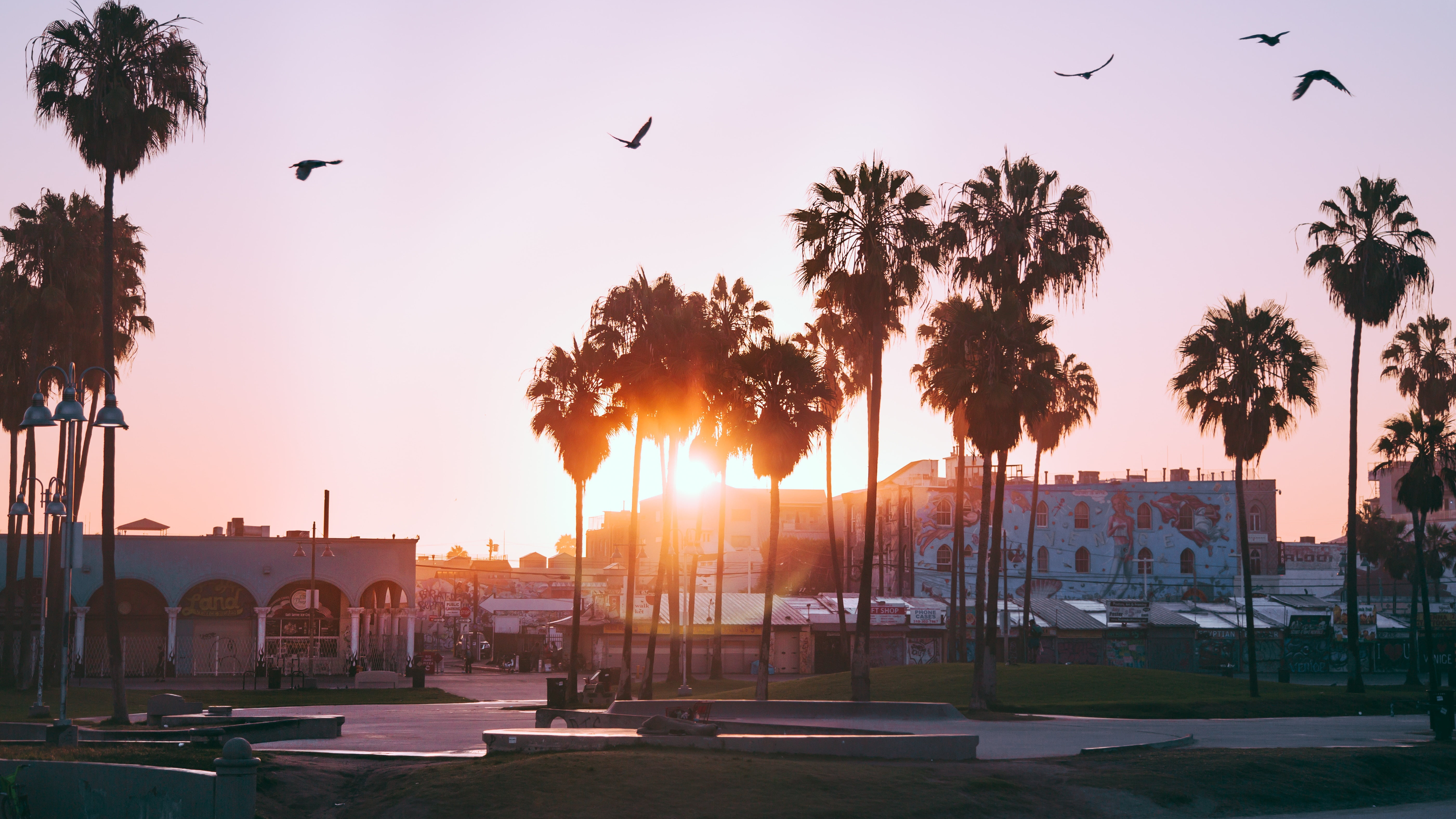 Venice Beach Wallpapers