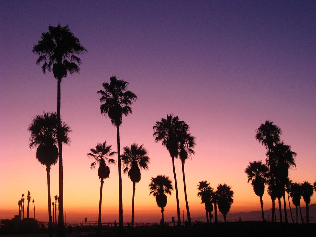 Venice Beach Wallpapers