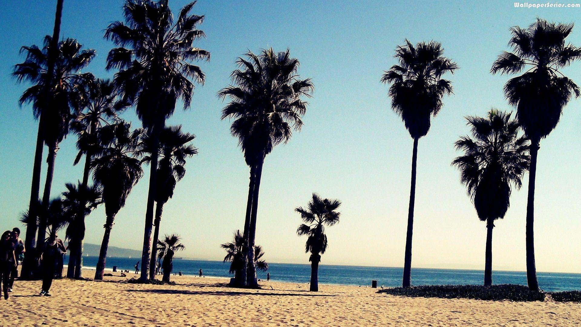 Venice Beach Wallpapers