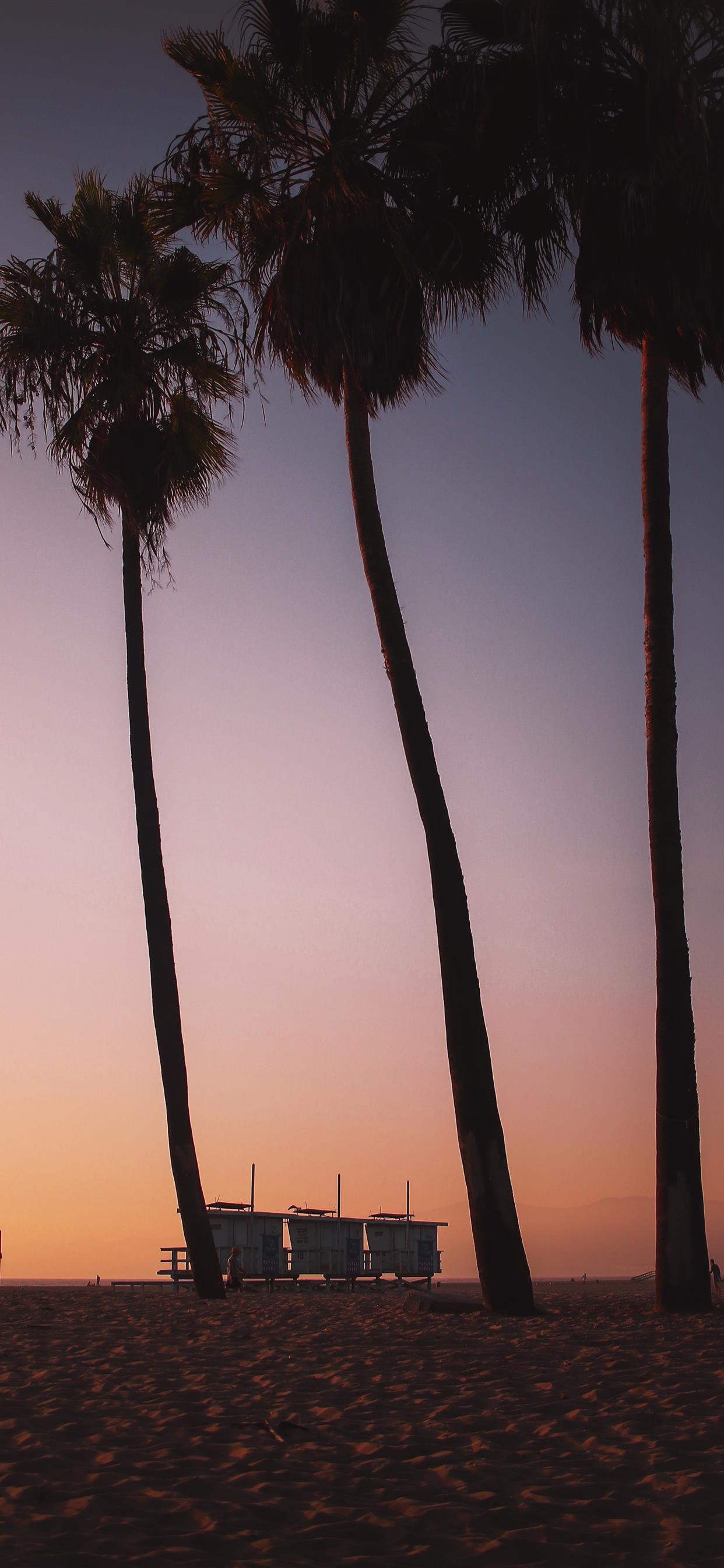 Venice Beach Wallpapers