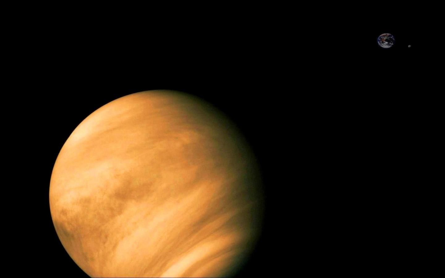 Venus Hd Wallpapers