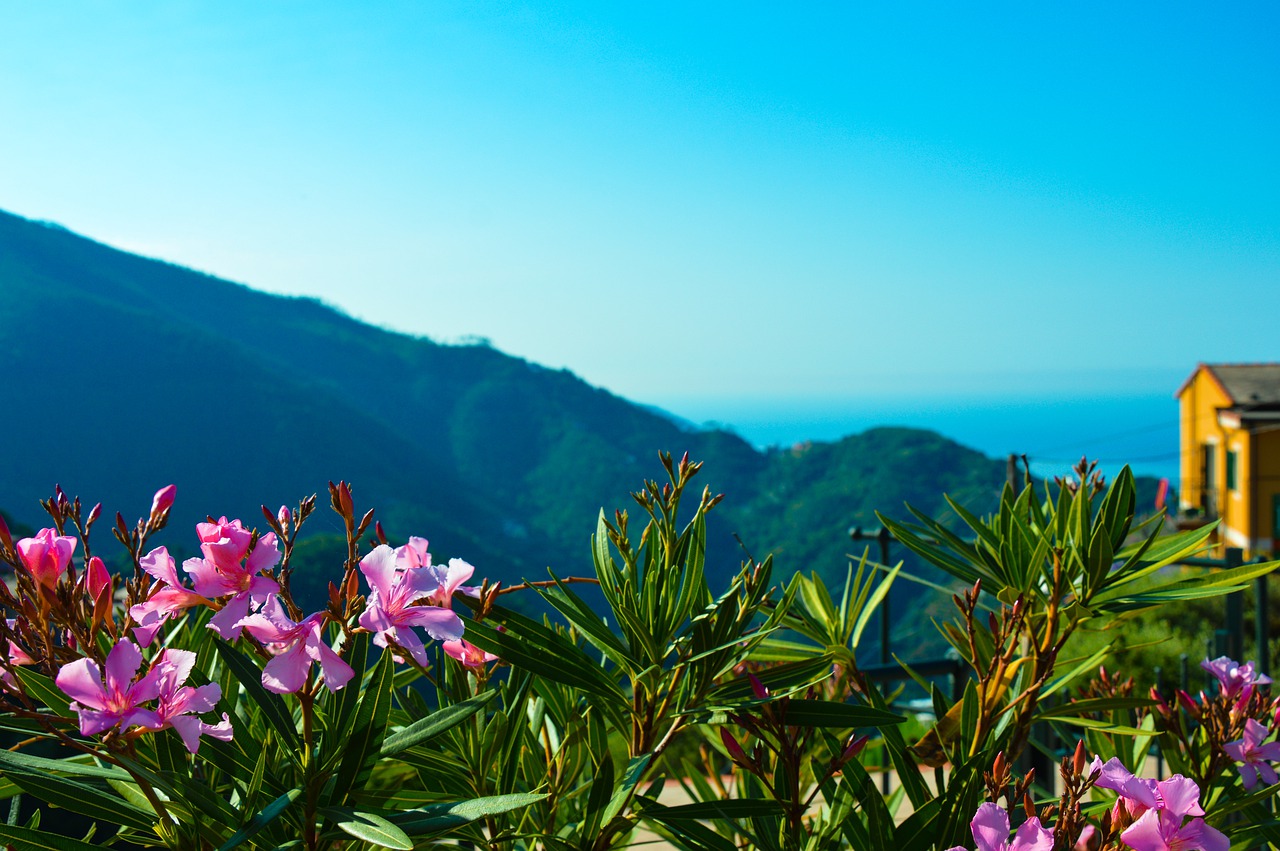 Vernazza Italy Sea And Mountains Nature Landscape Wallpapers