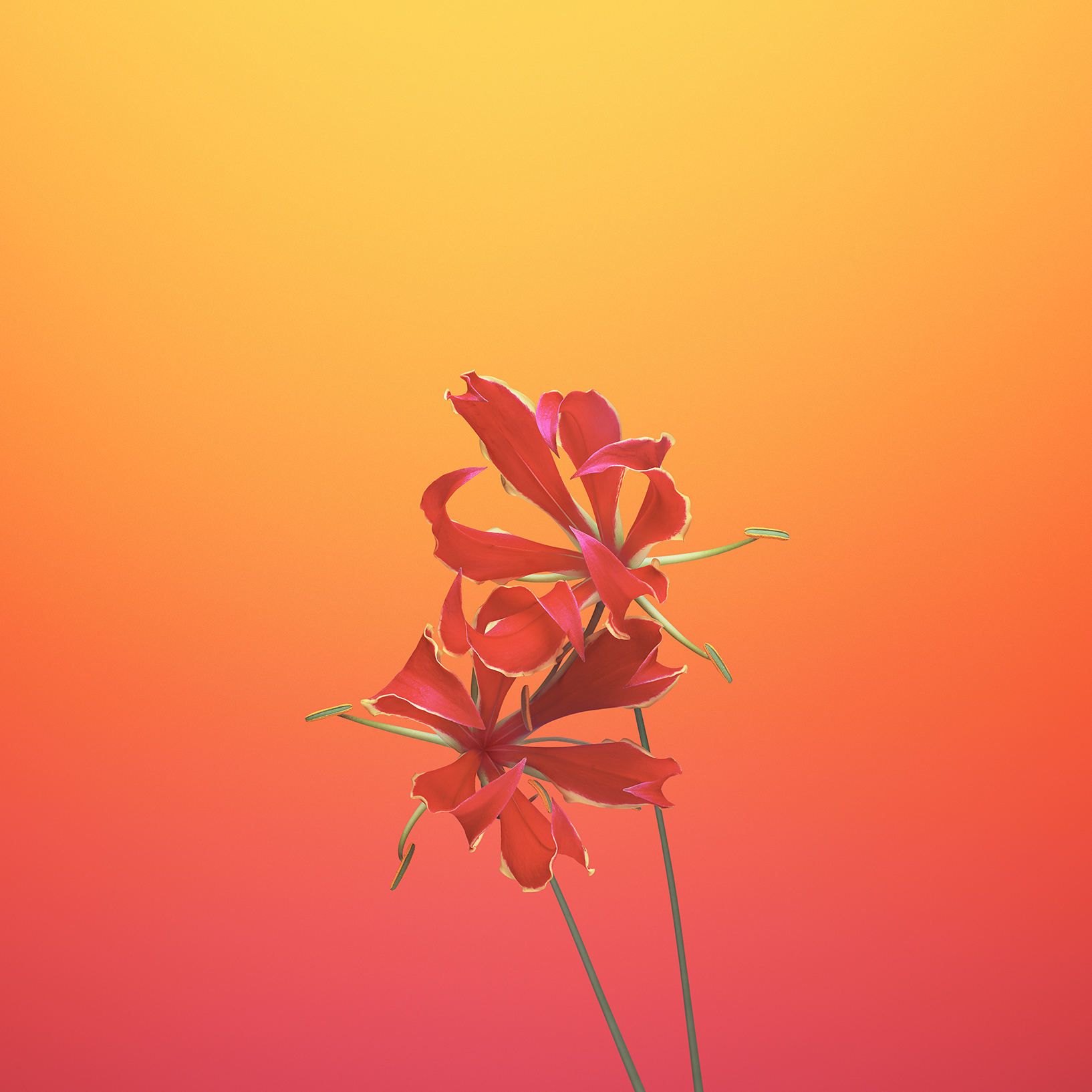 Vibrant Iphone Wallpapers