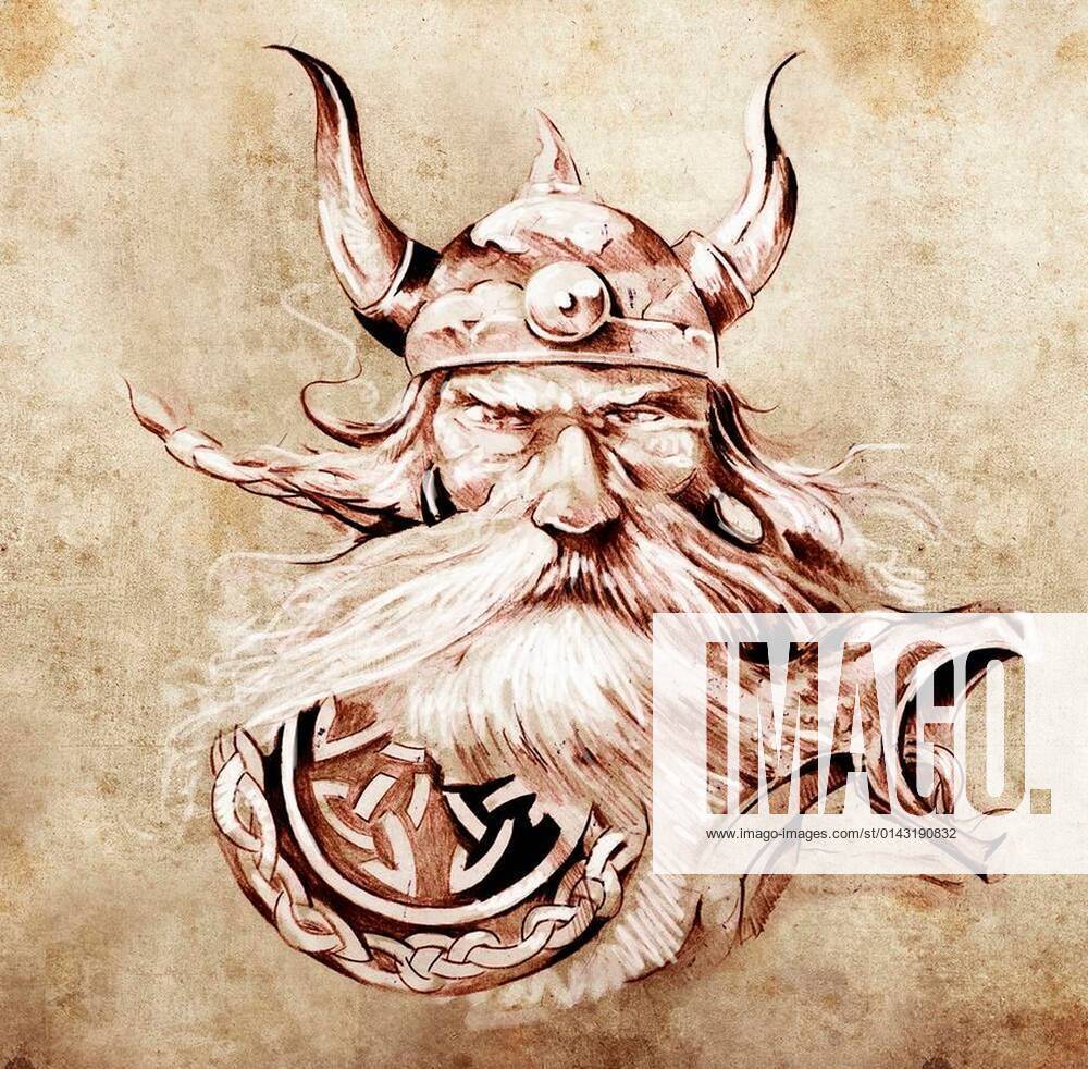 Viking Warrior Cool Illustration Wallpapers