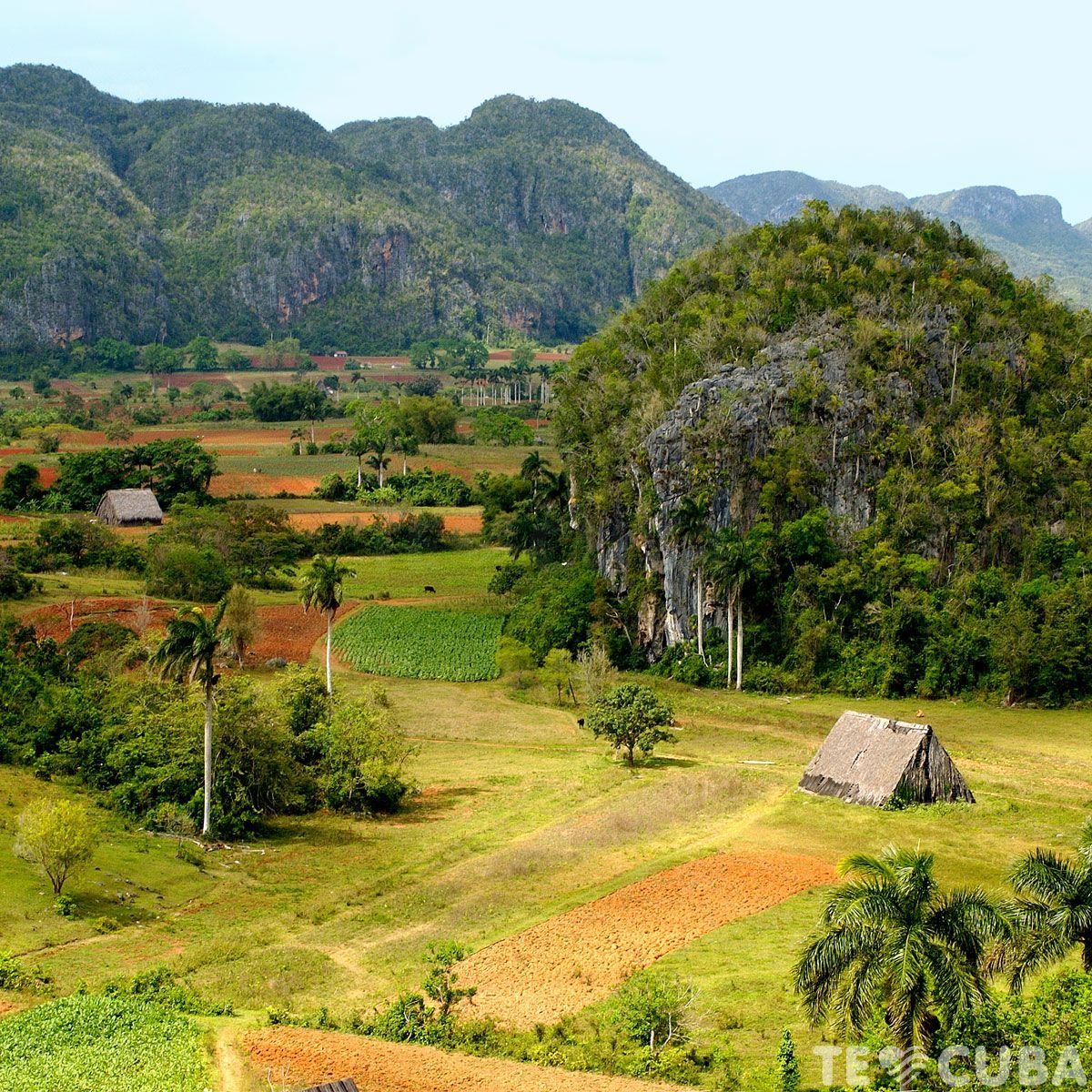 Vinales National Park Wallpapers