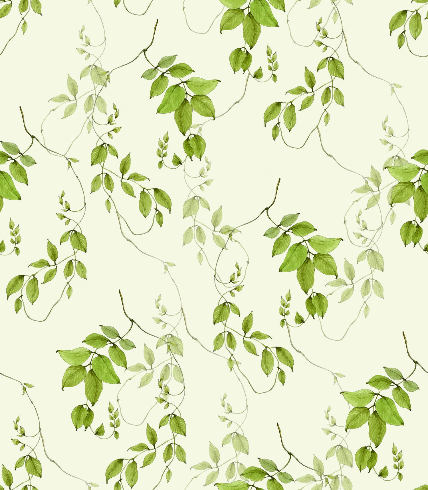 Vines Wallpapers