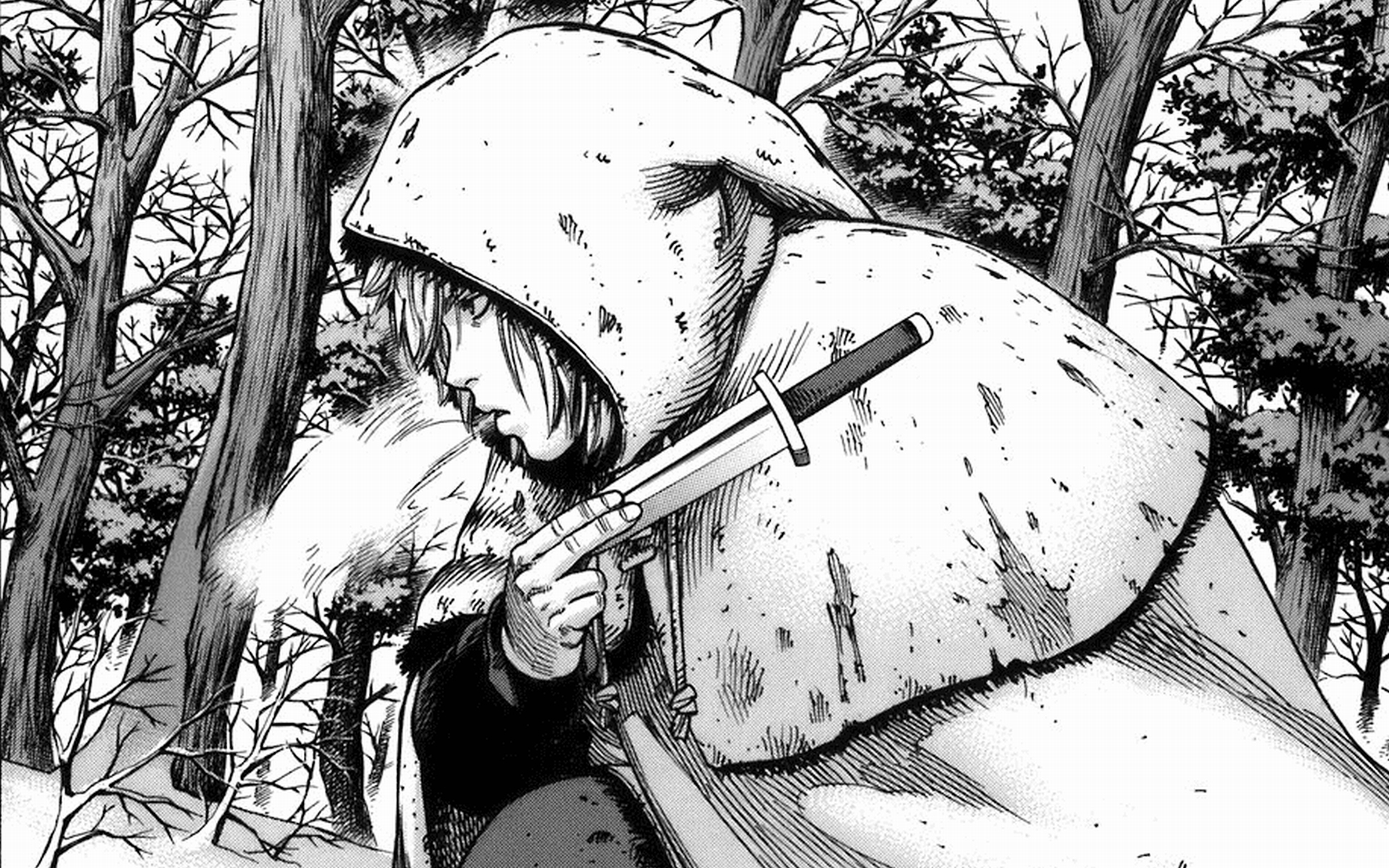 Vinland Saga Wallpapers