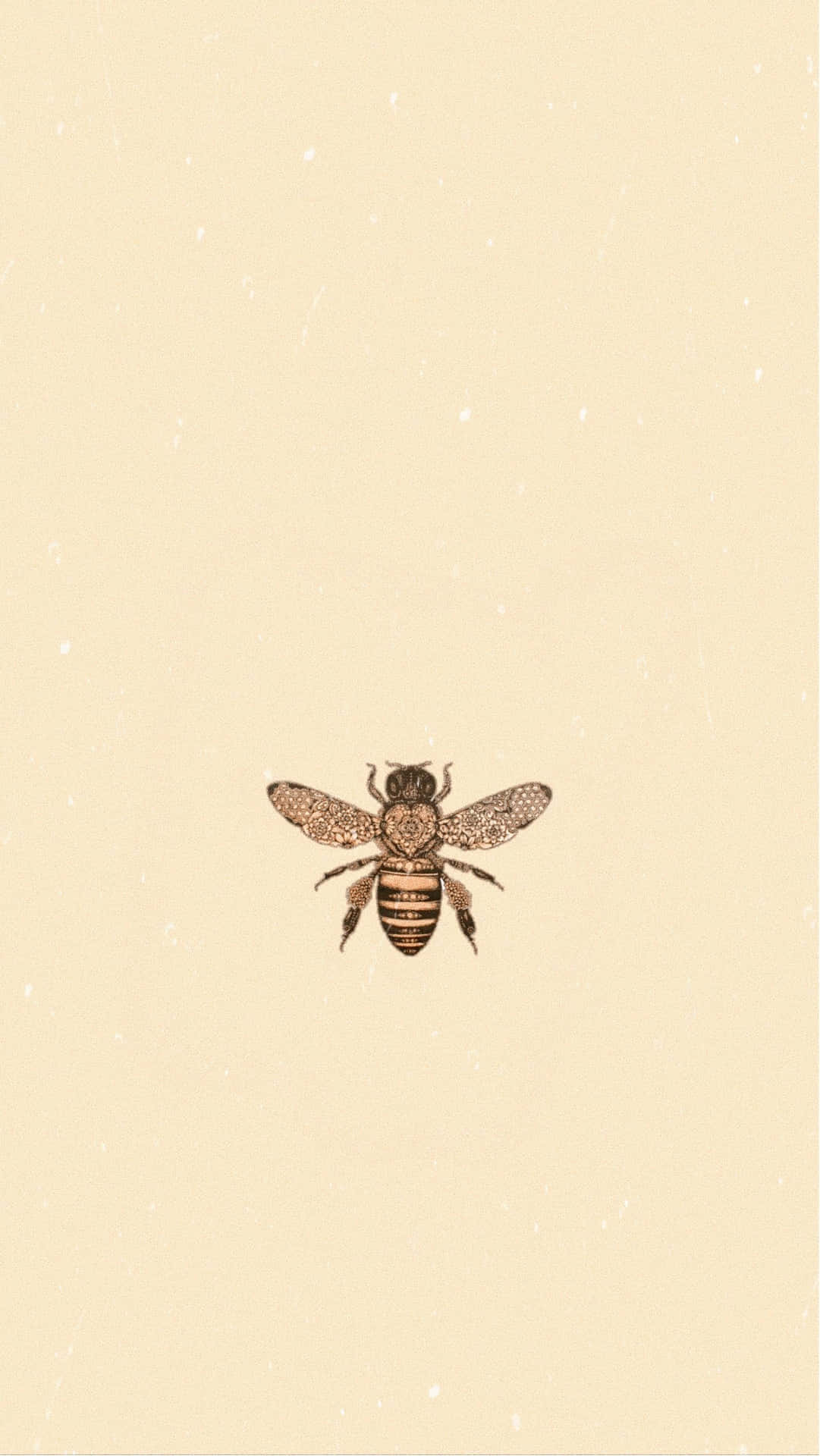 Vintage Bee Aesthetic Wallpapers