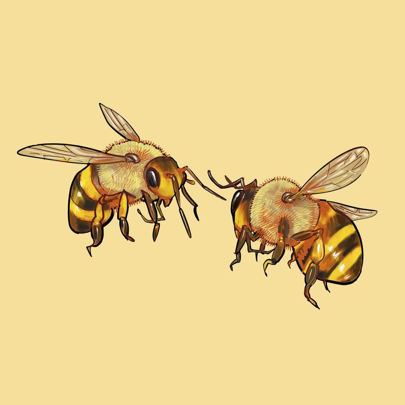 Vintage Bee Aesthetic Wallpapers