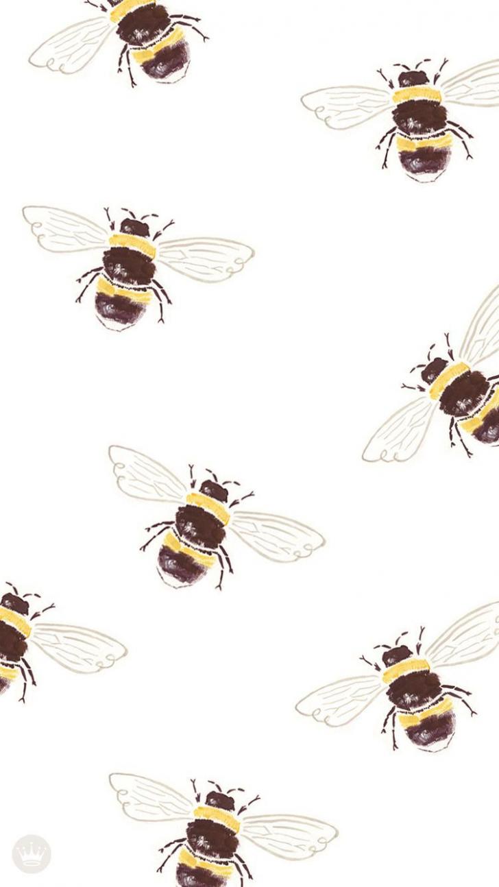 Vintage Bee Aesthetic Wallpapers