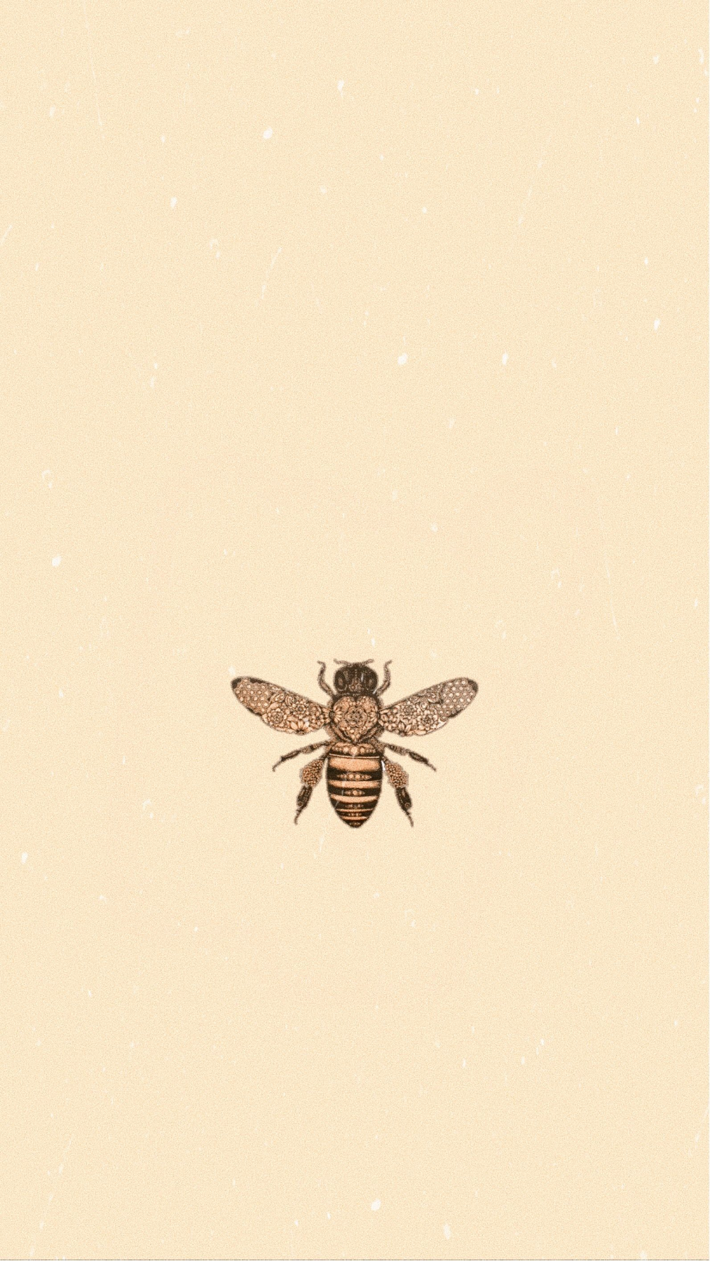 Vintage Bee Aesthetic Wallpapers