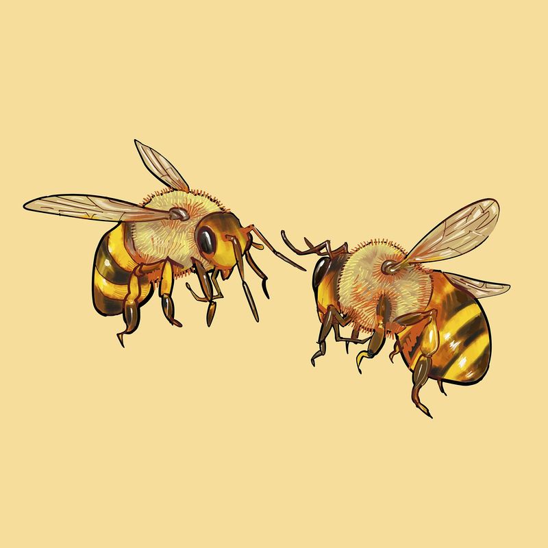 Vintage Bee Aesthetic Wallpapers