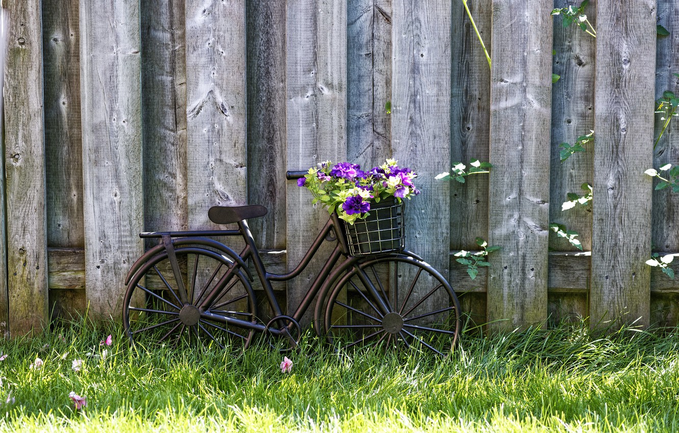 Vintage Bicycle Wallpapers