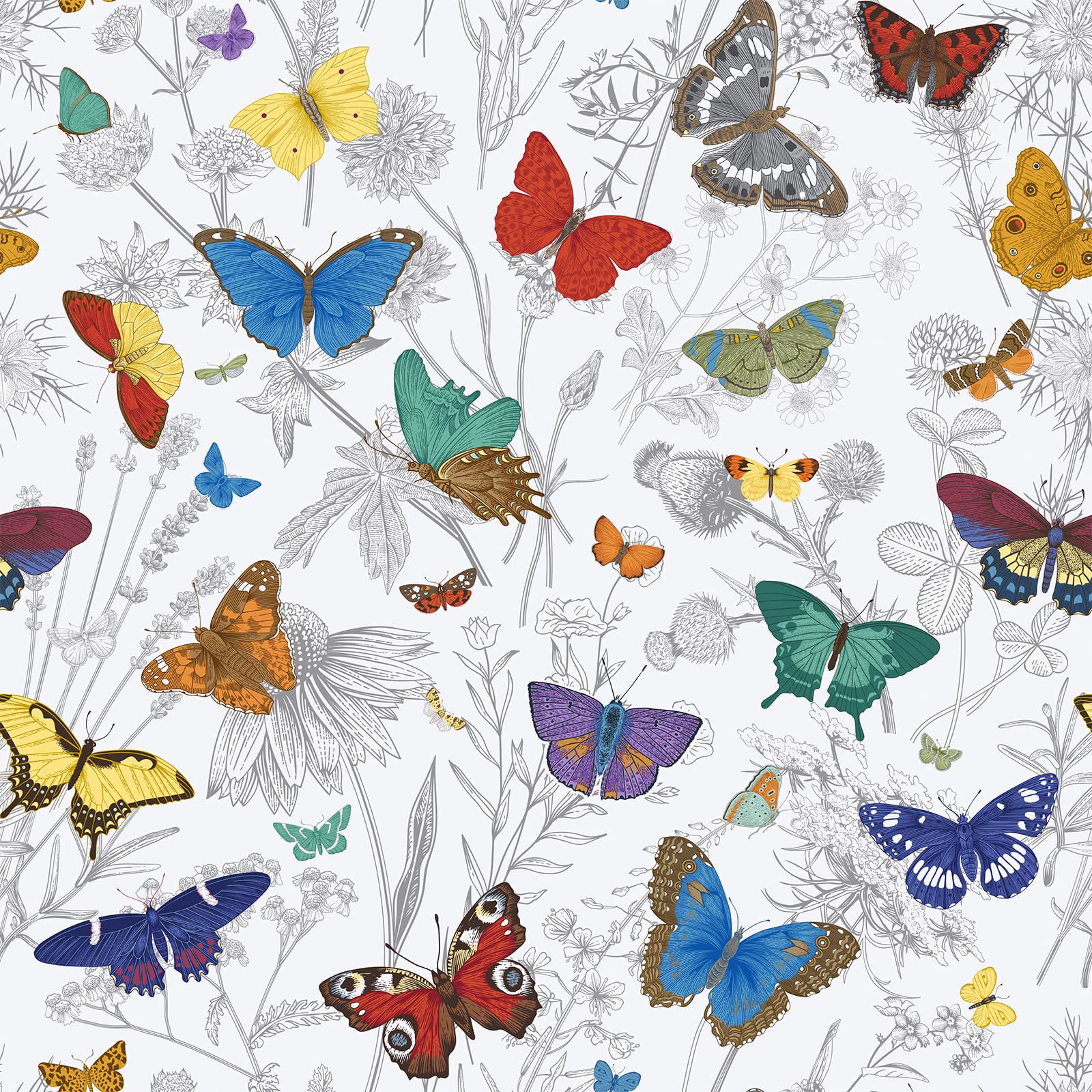 Vintage Butterfly Wallpapers