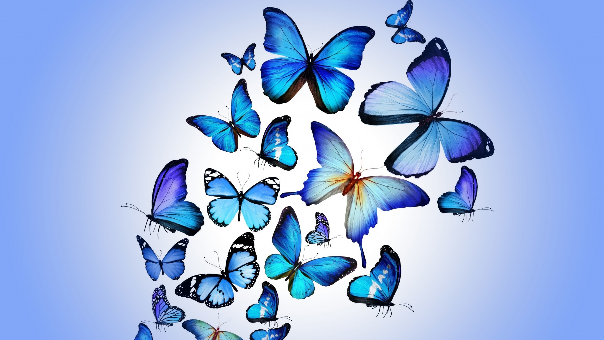 Vintage Butterfly Wallpapers