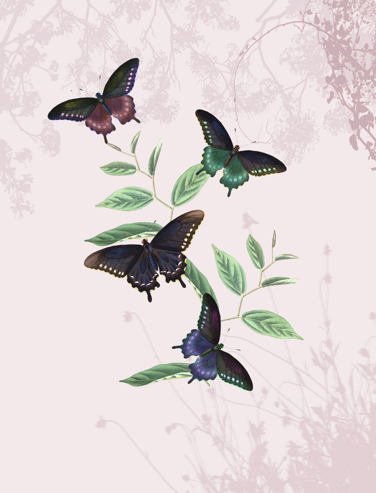 Vintage Butterfly Wallpapers