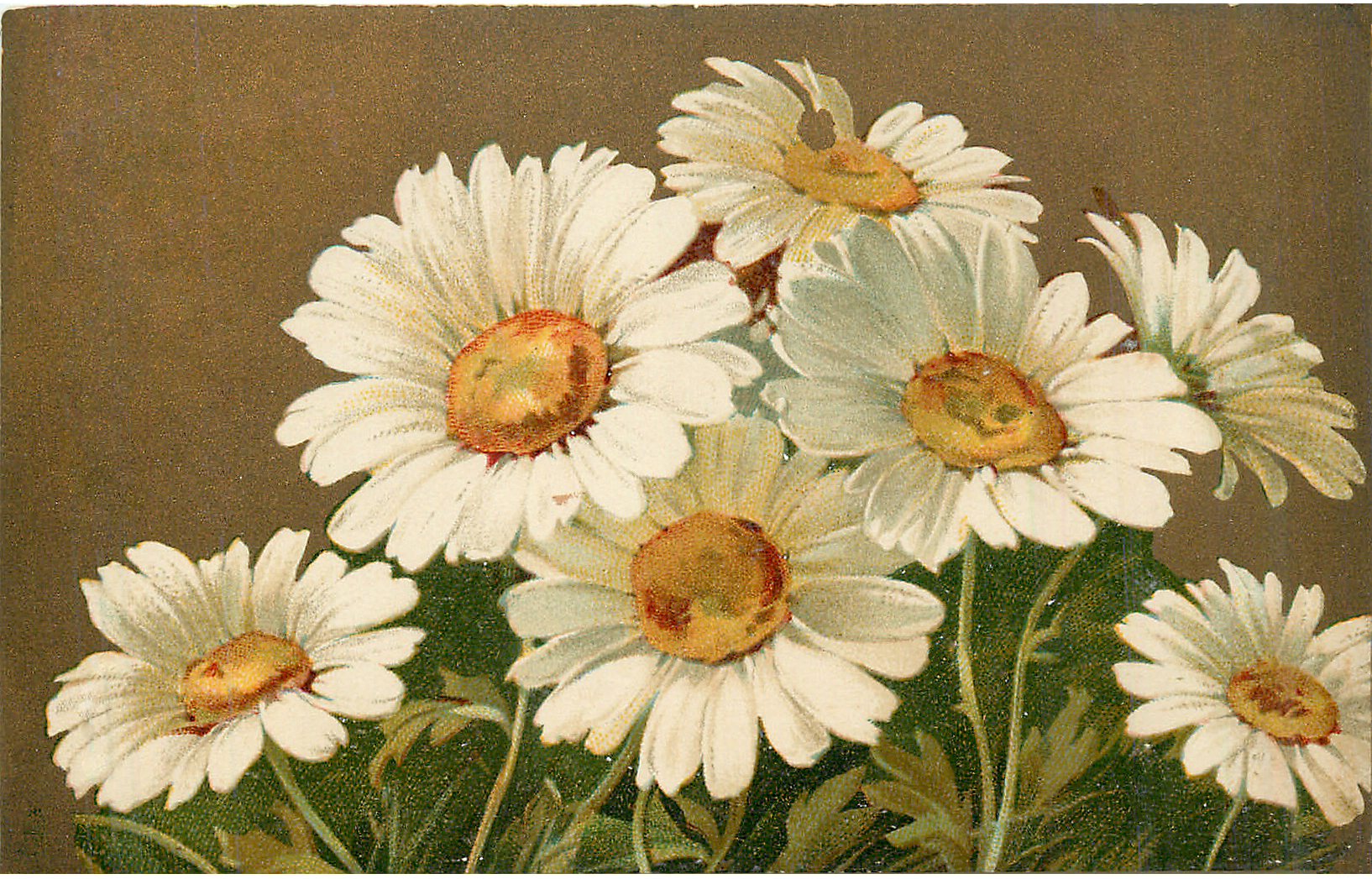 Vintage Daisy Wallpapers