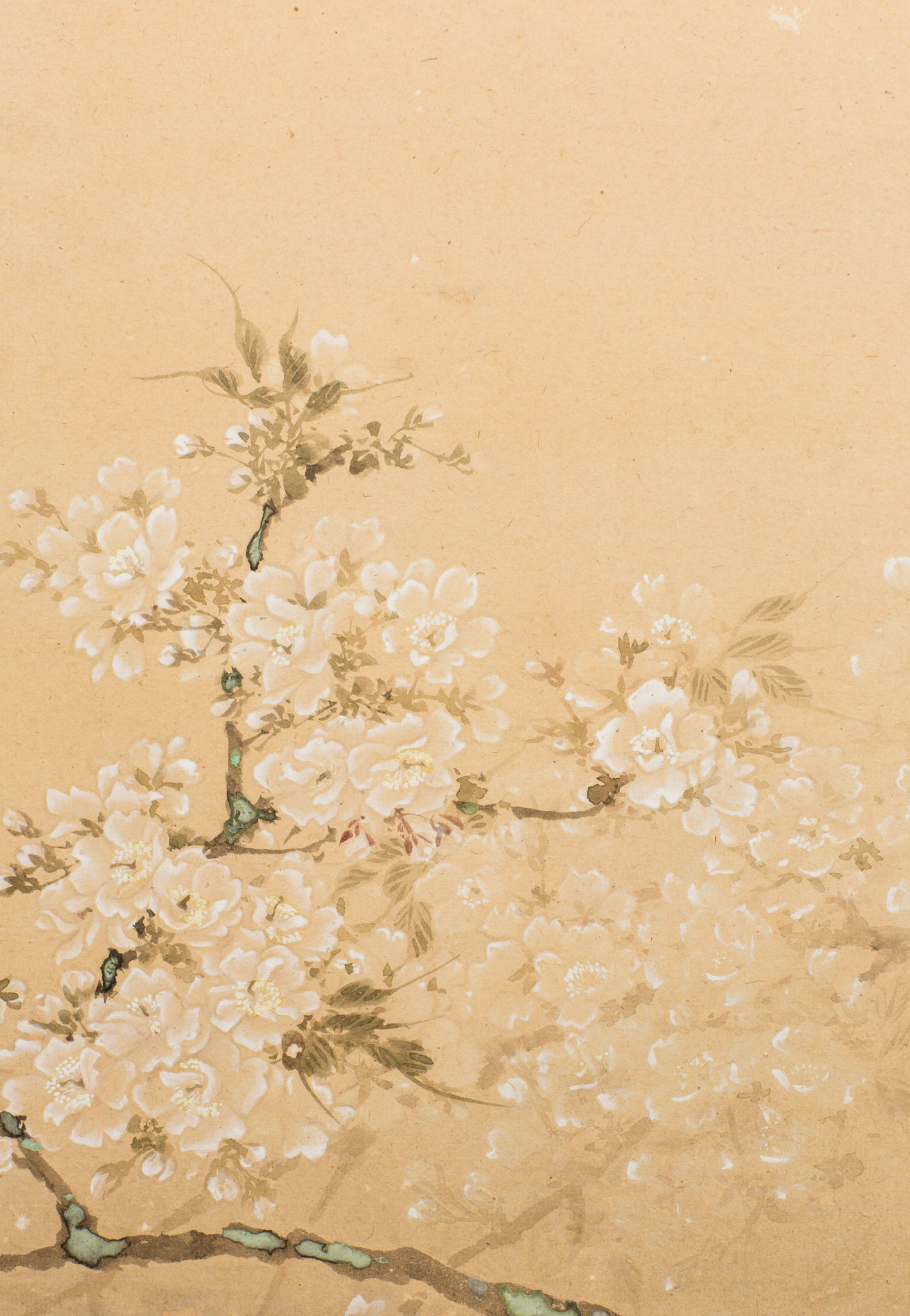 Vintage Japanese Aesthetic Wallpapers