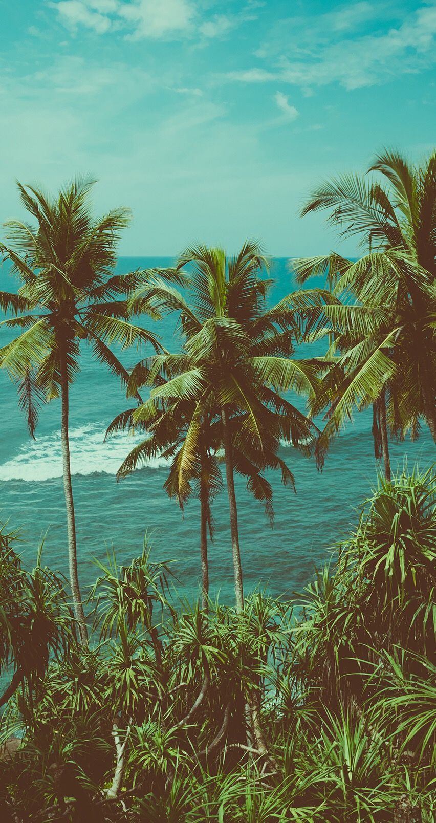 Vintage Tropical Wallpapers