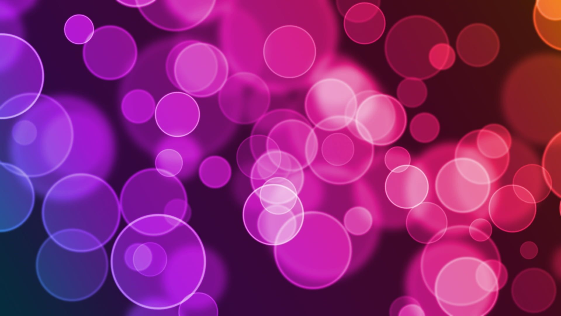 Violet Pink Circle Design Wallpapers