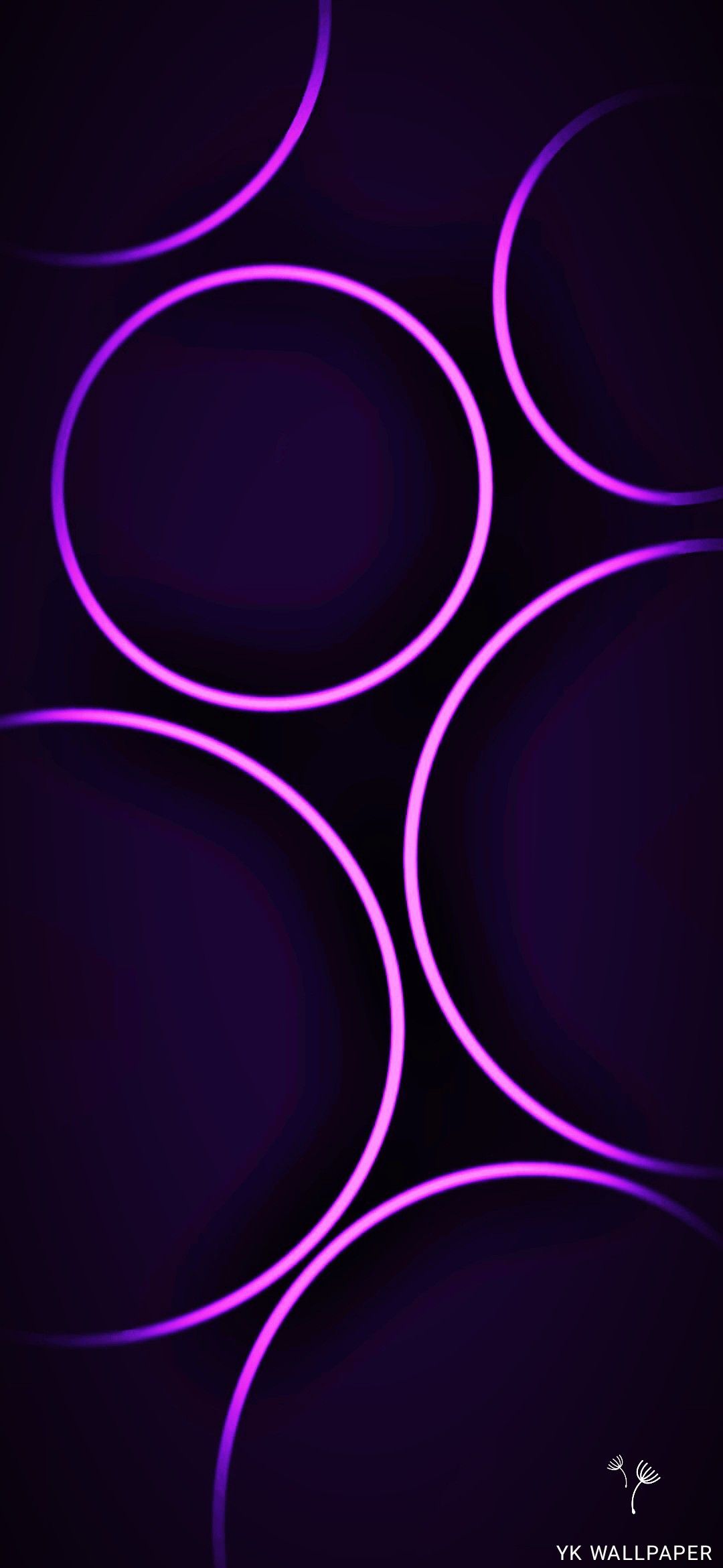 Violet Pink Circle Design Wallpapers