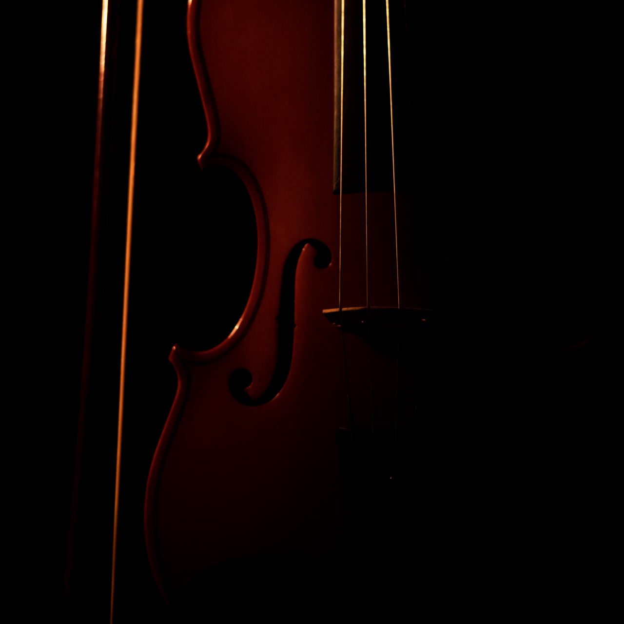 Violin Black Background