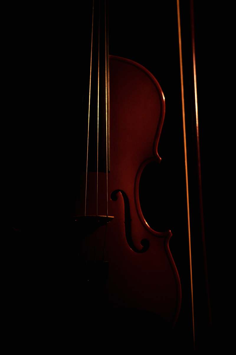 Violin Black Background