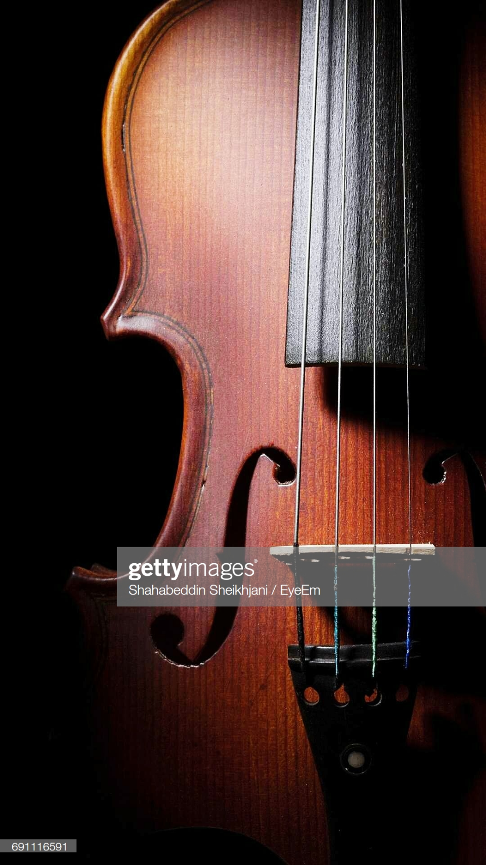 Violin Black Background