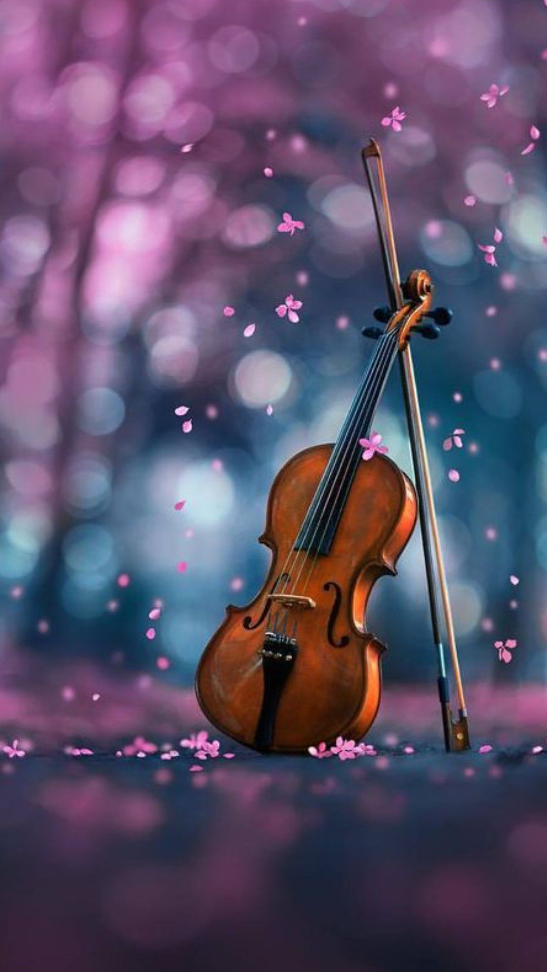 Violin Wallpapers