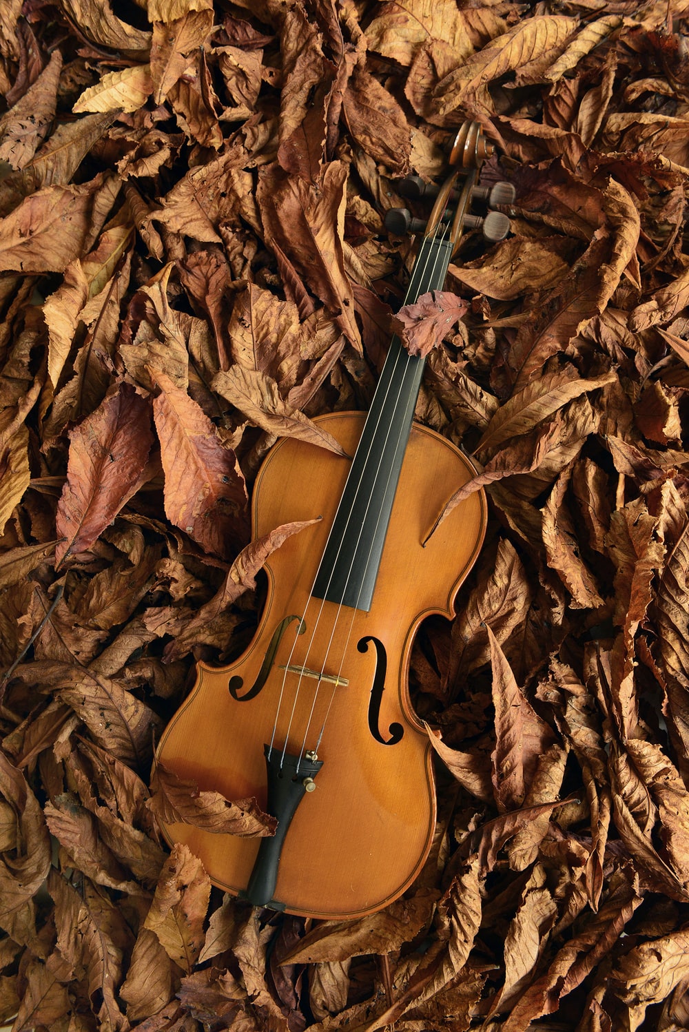 Violin Wallpapers