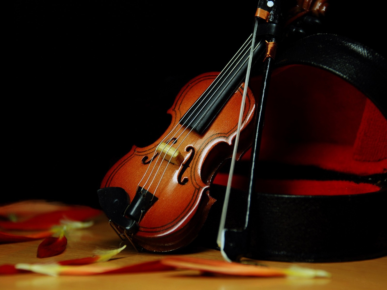 Violin Wallpapers