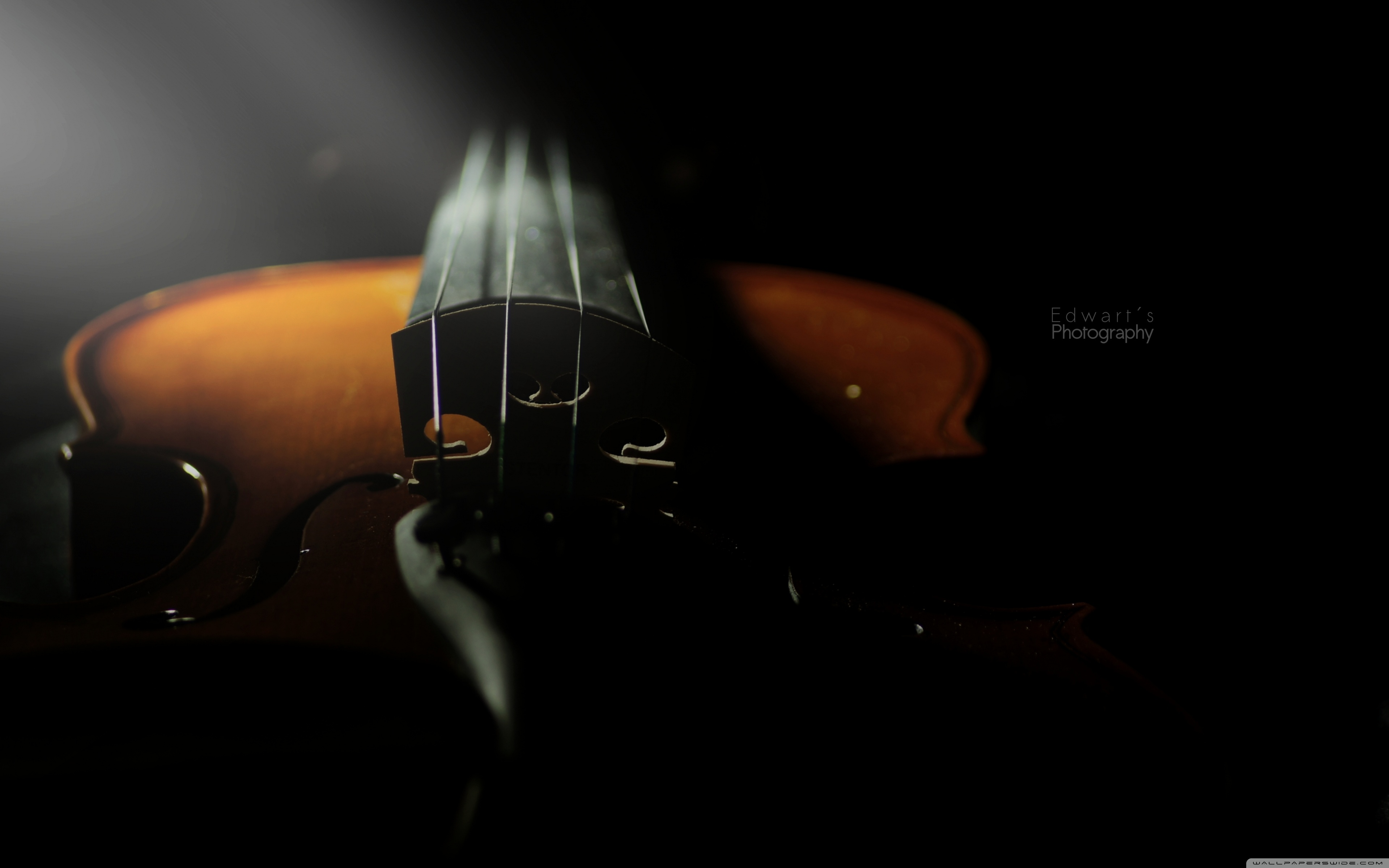 Violin Wallpapers