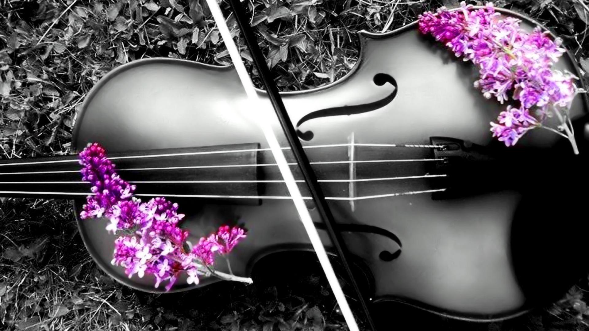 Violin Wallpapers