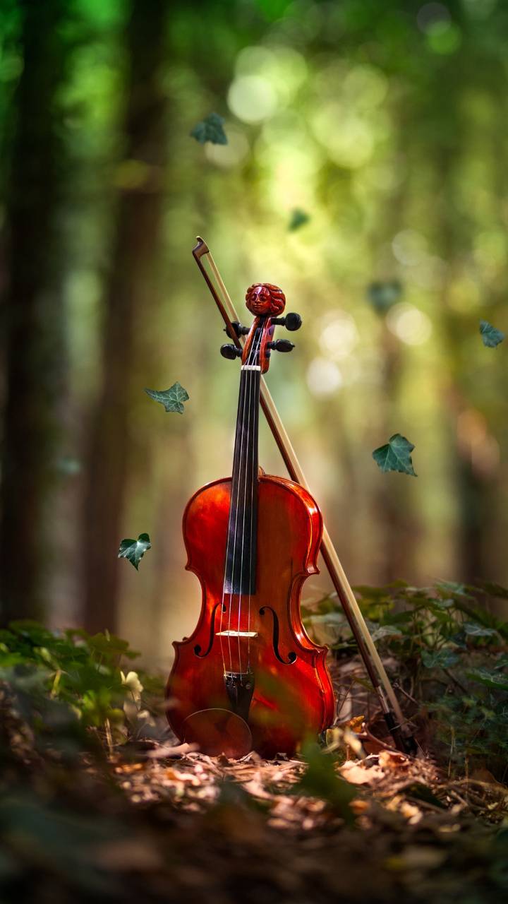 Violin Wallpapers