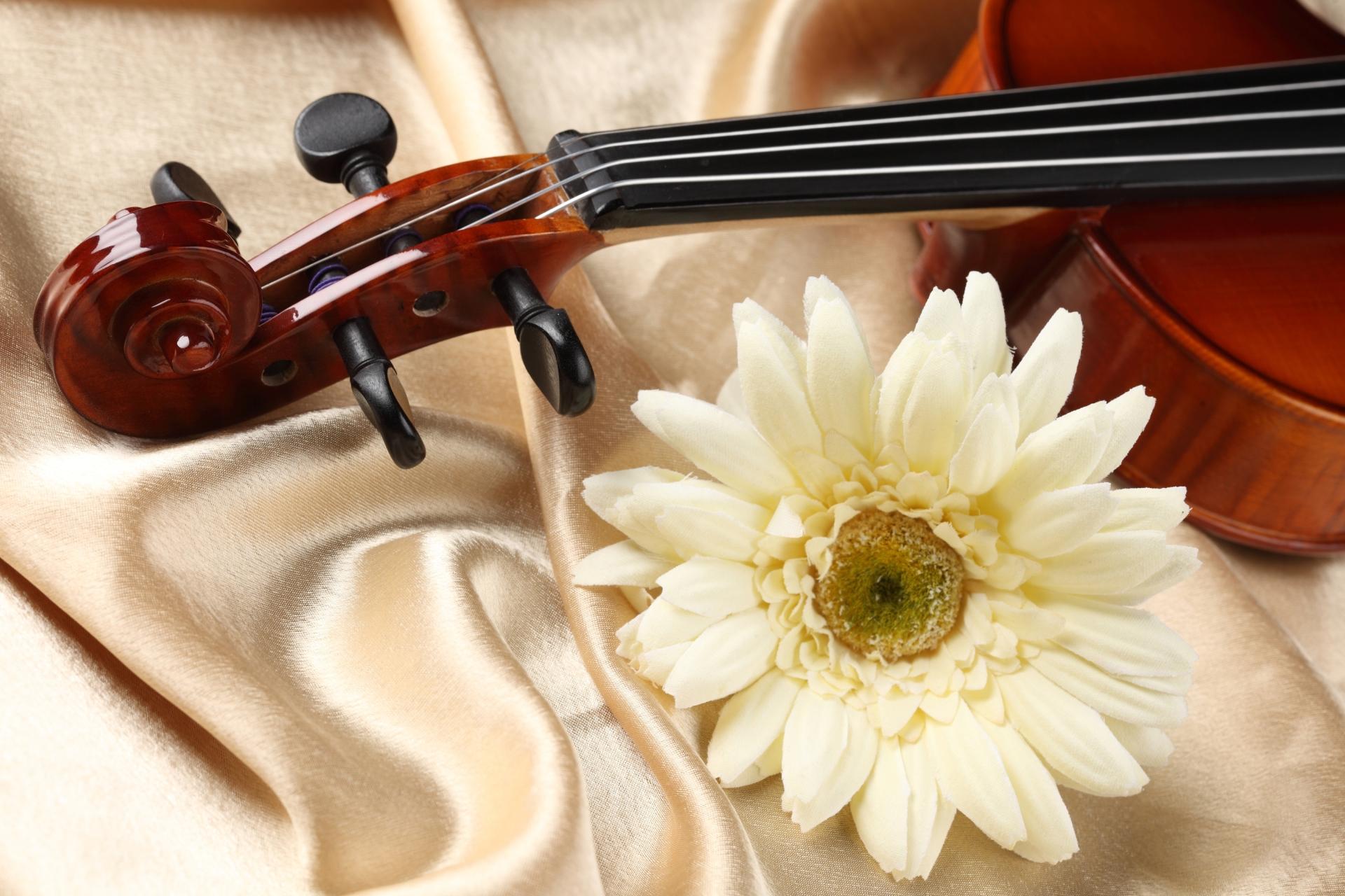 Violin Wallpapers