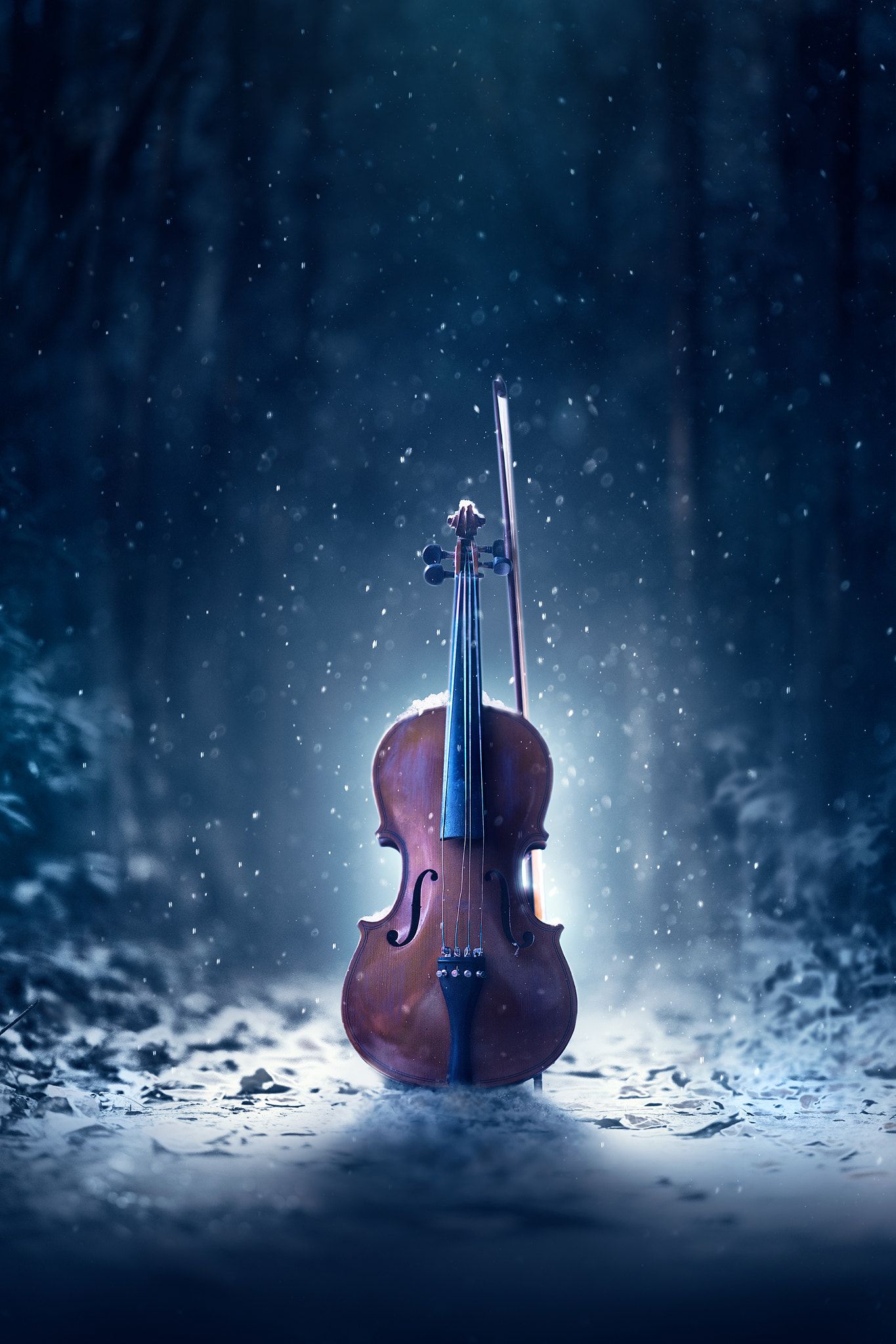 Violin Wallpapers