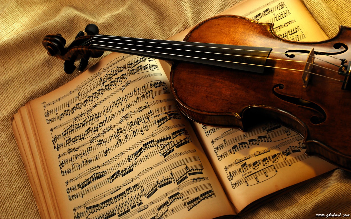 Violin Wallpapers