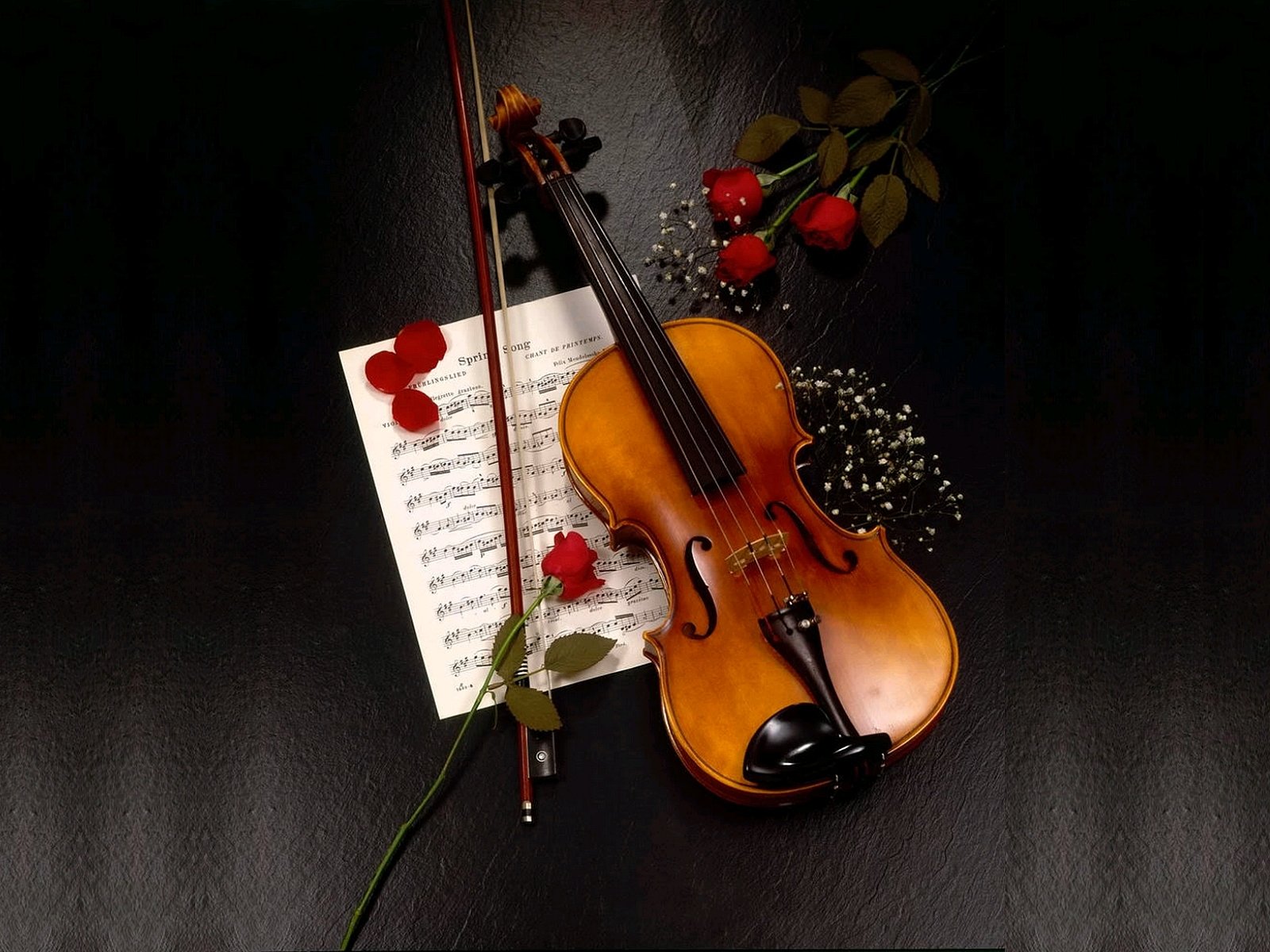 Violin Wallpapers