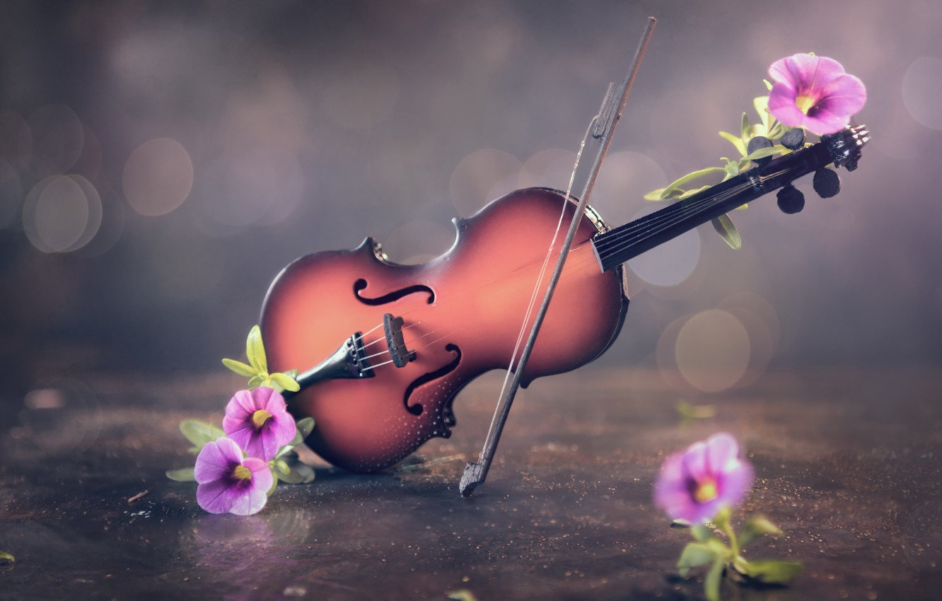 Violin Wallpapers