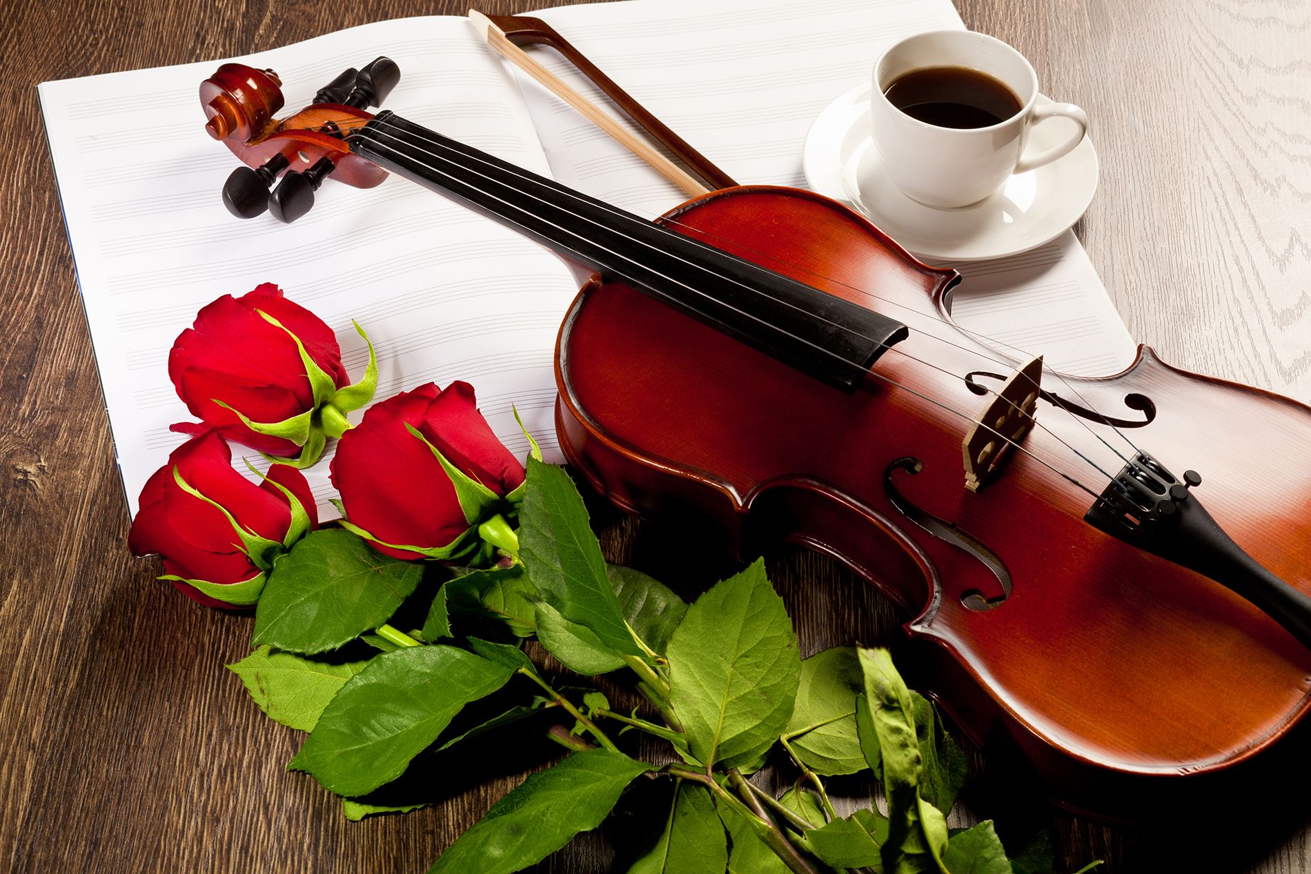 Violin With Flowers Wallpapers