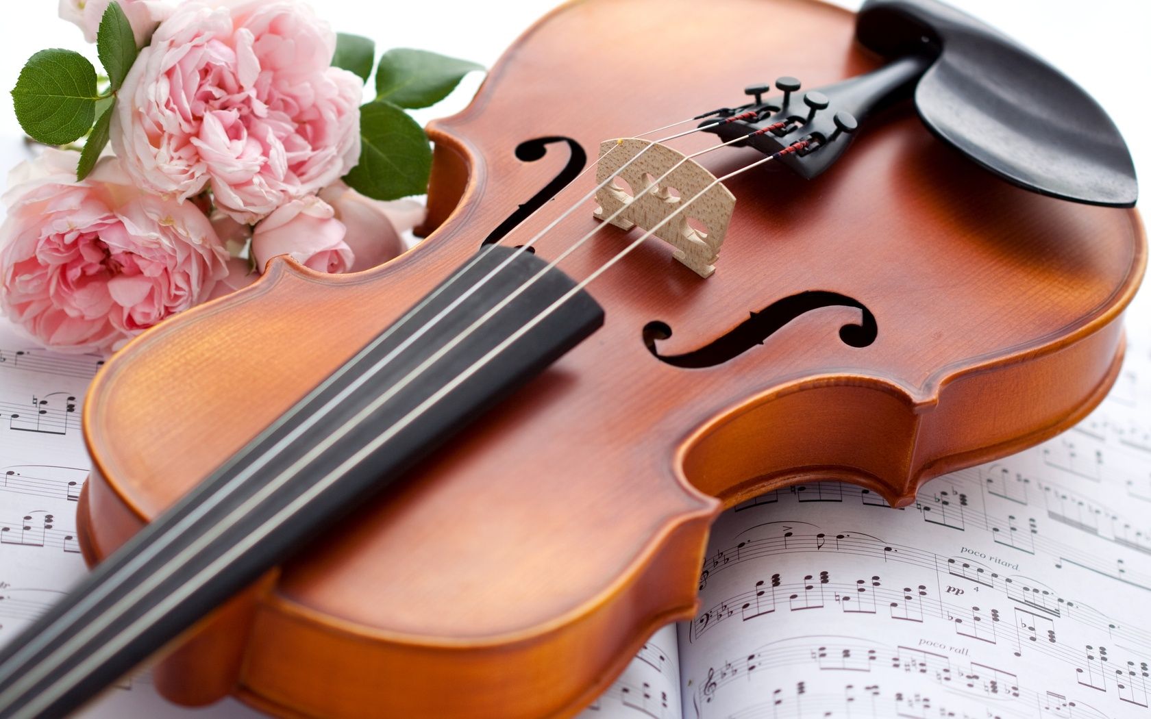 Violin With Flowers Wallpapers