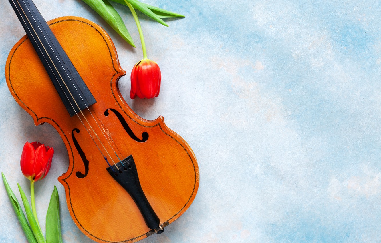 Violin With Flowers Wallpapers