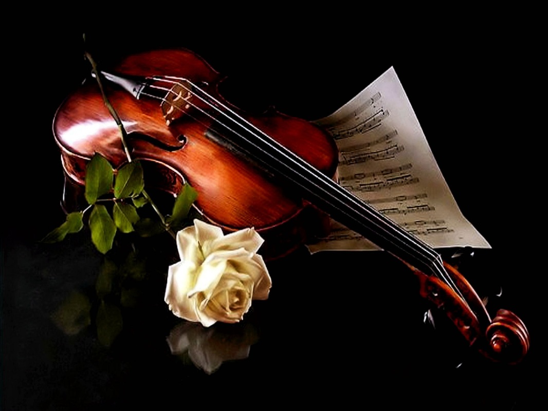 Violin With Flowers Wallpapers