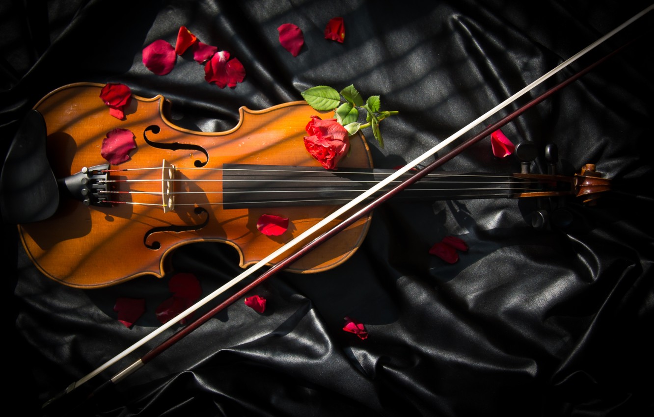 Violin With Flowers Wallpapers